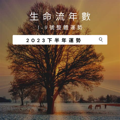 2023生命靈數流年8